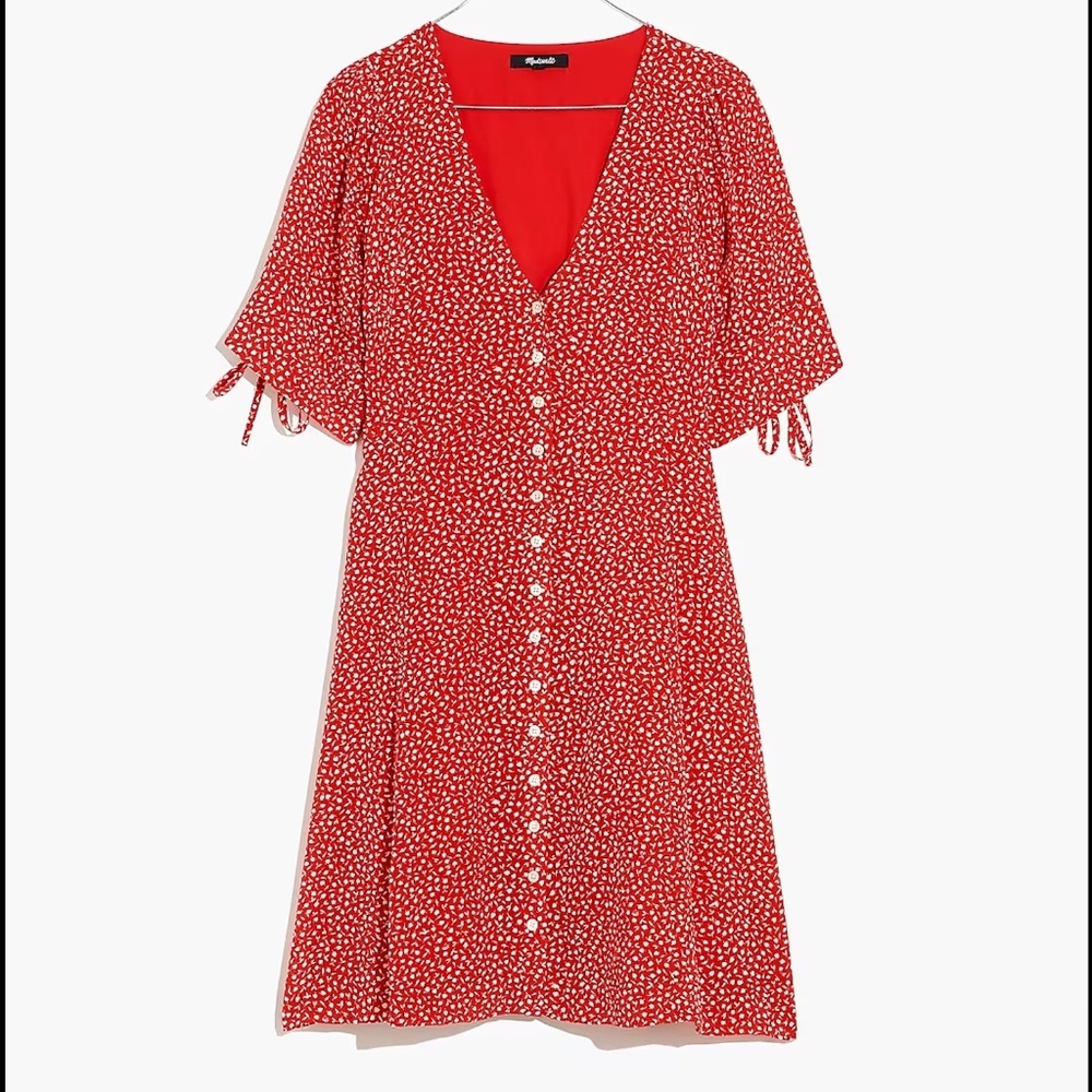 Silk Button Front Mini Dress in Park Picnic Madewell 2X